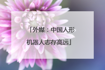 外媒：中国人形机器人志存高远