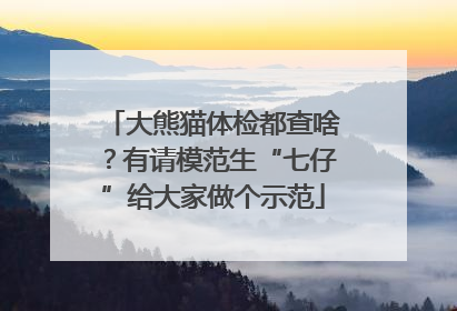 大熊猫体检都查啥？有请模范生“七仔”给大家做个示范