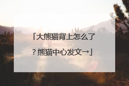 大熊猫背上怎么了？熊猫中心发文→