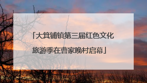大箕铺镇第三届红色文化旅游季在曹家晚村启幕