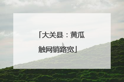 大关县：黄瓜触网销路宽