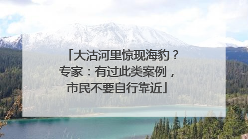 大沽河里惊现海豹？专家：有过此类案例，市民不要自行靠近