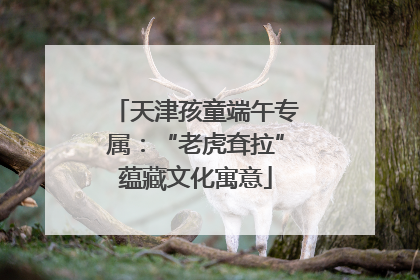 天津孩童端午专属：“老虎耷拉”蕴藏文化寓意