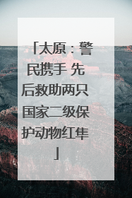 太原：警民携手 先后救助两只国家二级保护动物红隼