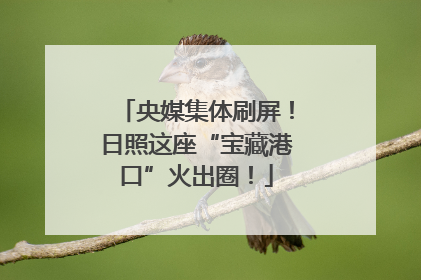 央媒集体刷屏！日照这座“宝藏港口”火出圈！