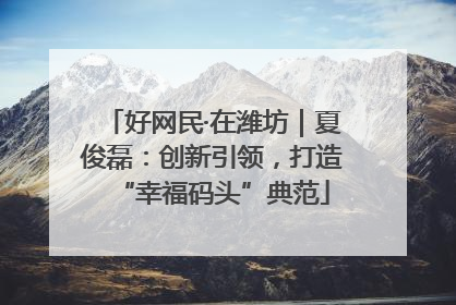 好网民·在潍坊｜夏俊磊：创新引领，打造“幸福码头”典范
