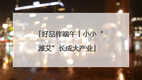 好品伴端午丨小小“潍艾”长成大产业
