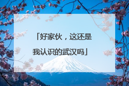 好家伙，这还是我认识的武汉吗