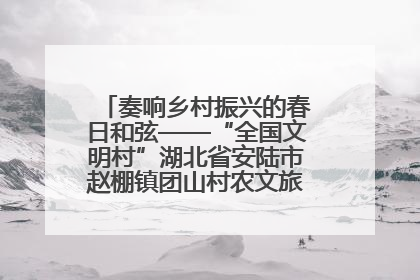 奏响乡村振兴的春日和弦——“全国文明村”湖北省安陆市赵棚镇团山村农文旅融合发展见闻