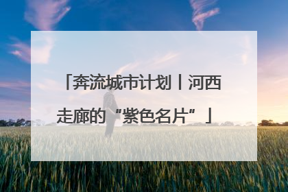 奔流城市计划丨河西走廊的“紫色名片”