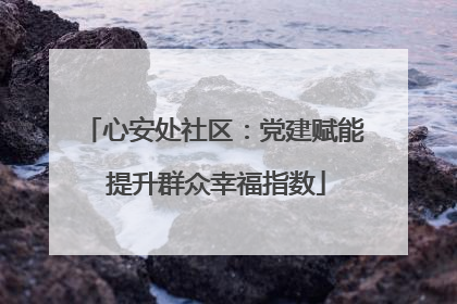 心安处社区：党建赋能 提升群众幸福指数