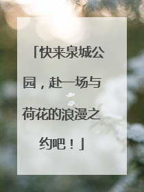 快来泉城公园，赴一场与荷花的浪漫之约吧！