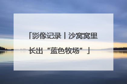 影像记录丨沙窝窝里长出“蓝色牧场”