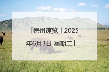 德州速览丨2025年6月3日 星期二