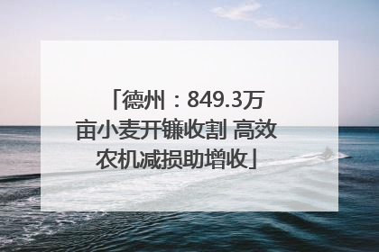德州：849.3万亩小麦开镰收割 高效农机减损助增收