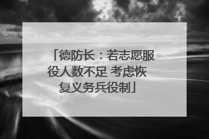 德防长：若志愿服役人数不足 考虑恢复义务兵役制