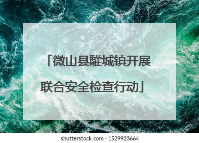 微山县驩城镇开展联合安全检查行动