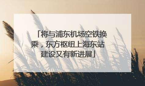 将与浦东机场空铁换乘，东方枢纽上海东站建设又有新进展