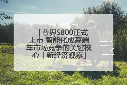 尊界S800正式上市 智能化成高端车市场竞争的关键核心丨新经济观察