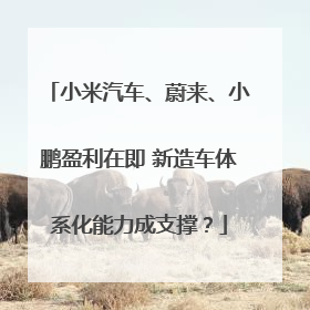 小米汽车、蔚来、小鹏盈利在即 新造车体系化能力成支撑？