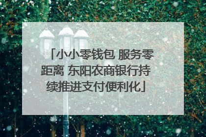 小小零钱包 服务零距离 东阳农商银行持续推进支付便利化