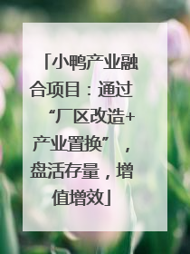 小鸭产业融合项目：通过“厂区改造+产业置换”，盘活存量，增值增效