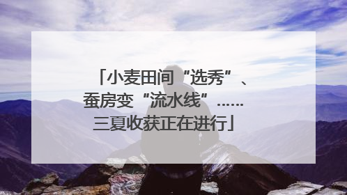 小麦田间“选秀”、蚕房变“流水线”……三夏收获正在进行