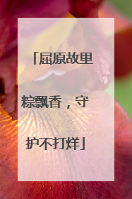 屈原故里粽飘香，守护不打烊