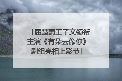 屈楚萧王子文领衔主演《有朵云像你》剧组亮相上影节
