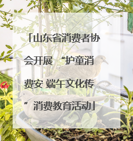 山东省消费者协会开展 “护童消费安 端午文化传”消费教育活动