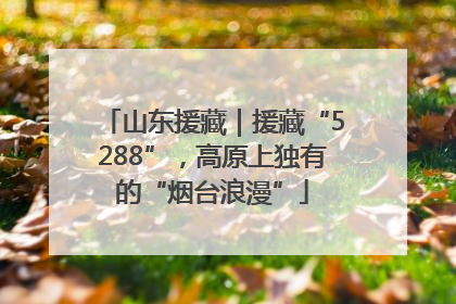 山东援藏｜援藏“5288”，高原上独有的“烟台浪漫”