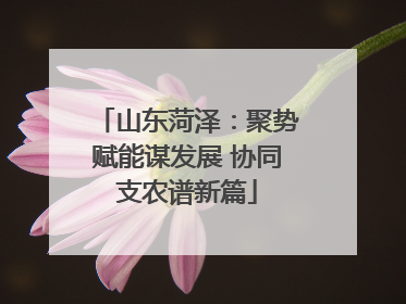 山东菏泽：聚势赋能谋发展 协同支农谱新篇
