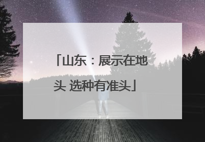 山东：展示在地头 选种有准头
