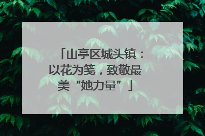 山亭区城头镇：以花为笺，致敬最美“她力量”
