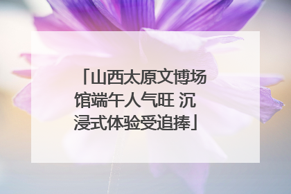 山西太原文博场馆端午人气旺 沉浸式体验受追捧