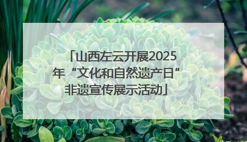 山西左云开展2025年“文化和自然遗产日”非遗宣传展示活动