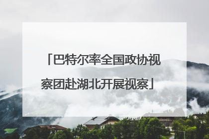 巴特尔率全国政协视察团赴湖北开展视察