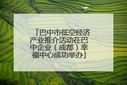 巴中市低空经济产业推介活动在巴中企业（成都）幸福中心成功举办