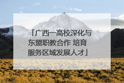 广西一高校深化与东盟职教合作 培育服务区域发展人才