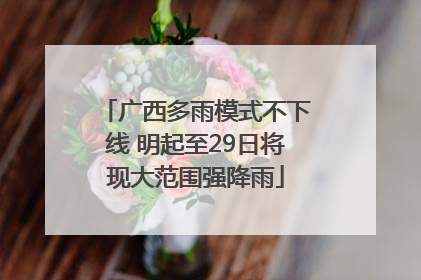 广西多雨模式不下线 明起至29日将现大范围强降雨