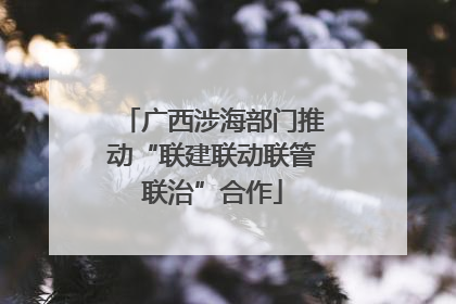 广西涉海部门推动“联建联动联管联治”合作