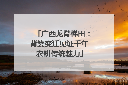 广西龙脊梯田：背篓变迁见证千年农耕传统魅力