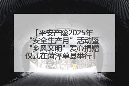 平安产险2025年“安全生产月”活动暨“乡风文明”爱心捐赠仪式在菏泽单县举行