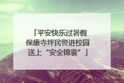 平安快乐过暑假 保康寺坪民警进校园送上“安全锦囊”