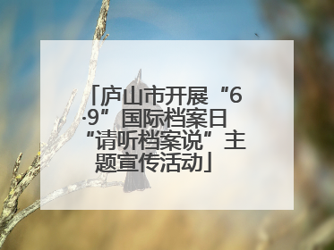 庐山市开展“6·9”国际档案日“请听档案说”主题宣传活动