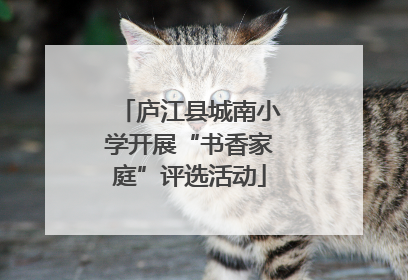 庐江县城南小学开展“书香家庭”评选活动