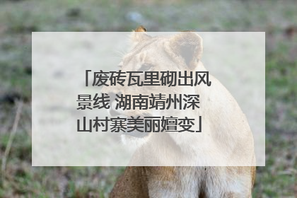 废砖瓦里砌出风景线 湖南靖州深山村寨美丽嬗变