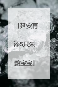 延安再添5只朱鹮宝宝