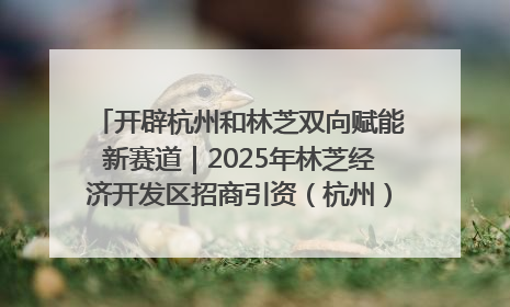 开辟杭州和林芝双向赋能新赛道｜2025年林芝经济开发区招商引资（杭州）推介展销活动在杭举办