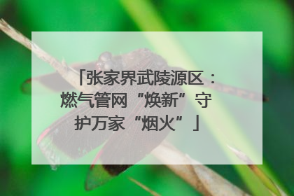 张家界武陵源区：燃气管网“焕新”守护万家“烟火”